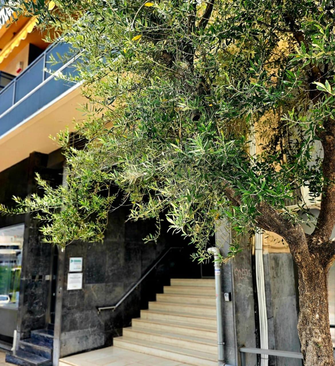 Apartmán Diocharous Garden