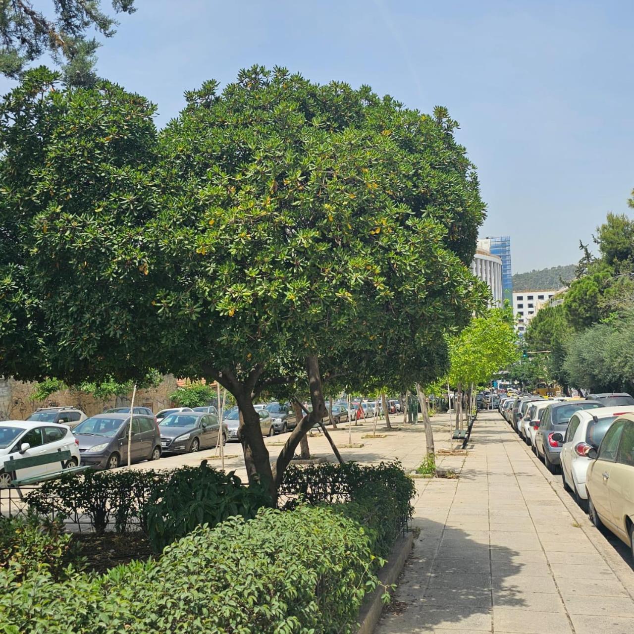 Diocharous Garden Athens