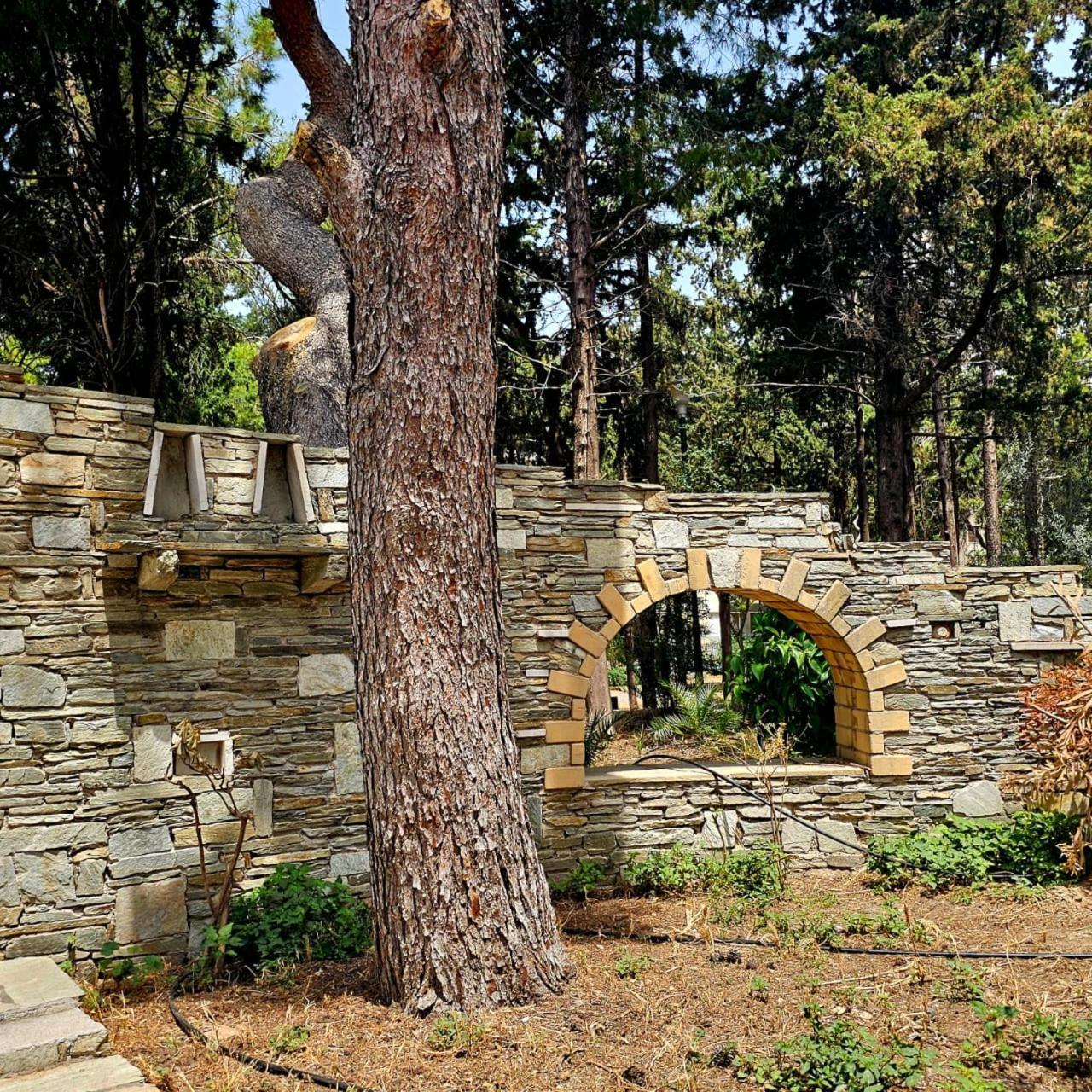 Diocharous Garden Apartment Athens